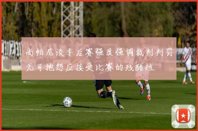尚帕尼谈季后赛强度强调裁判判罚无可抱怨应接受比赛的残酷性